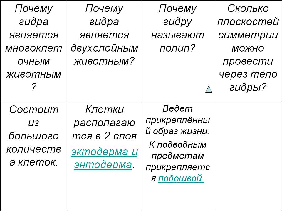 Кракен шоп нарк