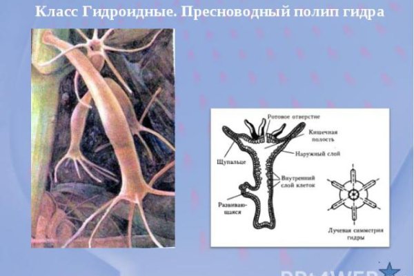 Кракен шоп интернет