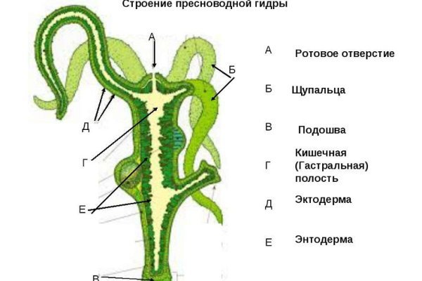 Как зайти в кракен через айфон