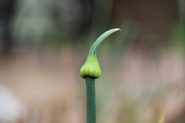 Krmp.cc kraken сайт kraken ssylka onion